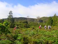 Wanderung Misterios Negros auf Teiceira