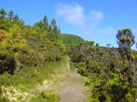 Wanderung Misterios Negros auf Teiceira