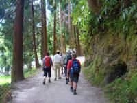 Wanderung durch den Wald am See von Furnas