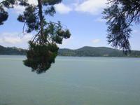 Wanderung durch den Wald am See von Furnas