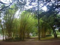 Botanischer Garten in Ponta Delgada