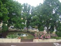 Stadtbesichtigung Ponta Delgada