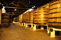 in der Portweinkellerei Ferreira