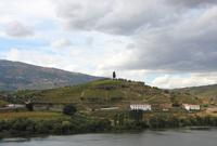 Landschaft um Peso da Regua