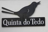 Portweinkellerei - Quinta do Tedo