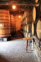 Führung in der Quinta do Tedo