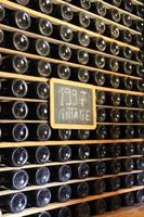 Führung in der Quinta do Tedo