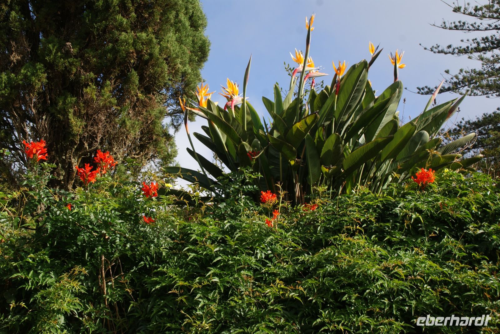 73 Palheiro Gardens