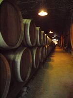 Ausflug nach Setúbal und ins nationale Kachelmuseum