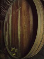 Ausflug nach Setúbal und ins nationale Kachelmuseum