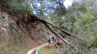 039_Gruppe bei  der Wanderung entlang der Levadas von Marocos