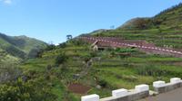 040_wie die Große Mauer von Madeira