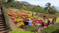 118_im Botanischen Garten in Funchal