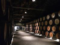 041 Portweinkeller