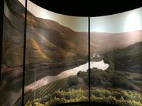 046 Portweinregion am Douro