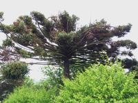 091 Impressionen Bom Jesus