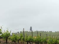 120 Fahrt zum Douro-Tal