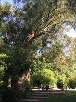 451  Impressionen Lissabon