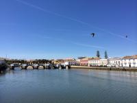 598 Tavira