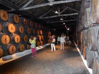 Portweinverkostung in Gaia