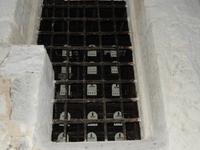 Portweinverkostung in Gaia