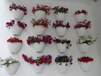 Weinverkostung in Peso da Regua