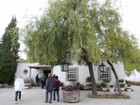 Weinverkostung in Peso da Regua