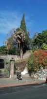 88 Neujahrsspaziergang durch Funchal