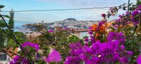 90 Blick auf Funchal