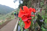 Levada-Wanderung
