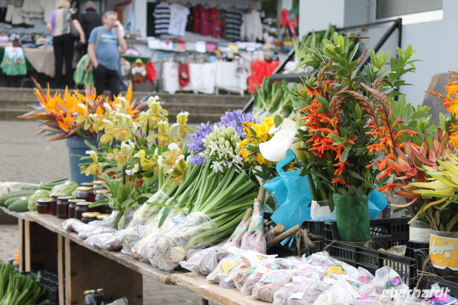 Aussichtspunkt bei Santana