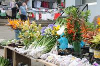 Aussichtspunkt bei Santana