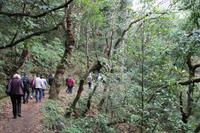 Spaziergang bei Queimadas