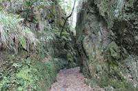 Spaziergang bei Queimadas