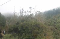 Fahrt zum Pico Arieeiro