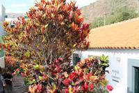 Fahrt nach Ponta do Sol