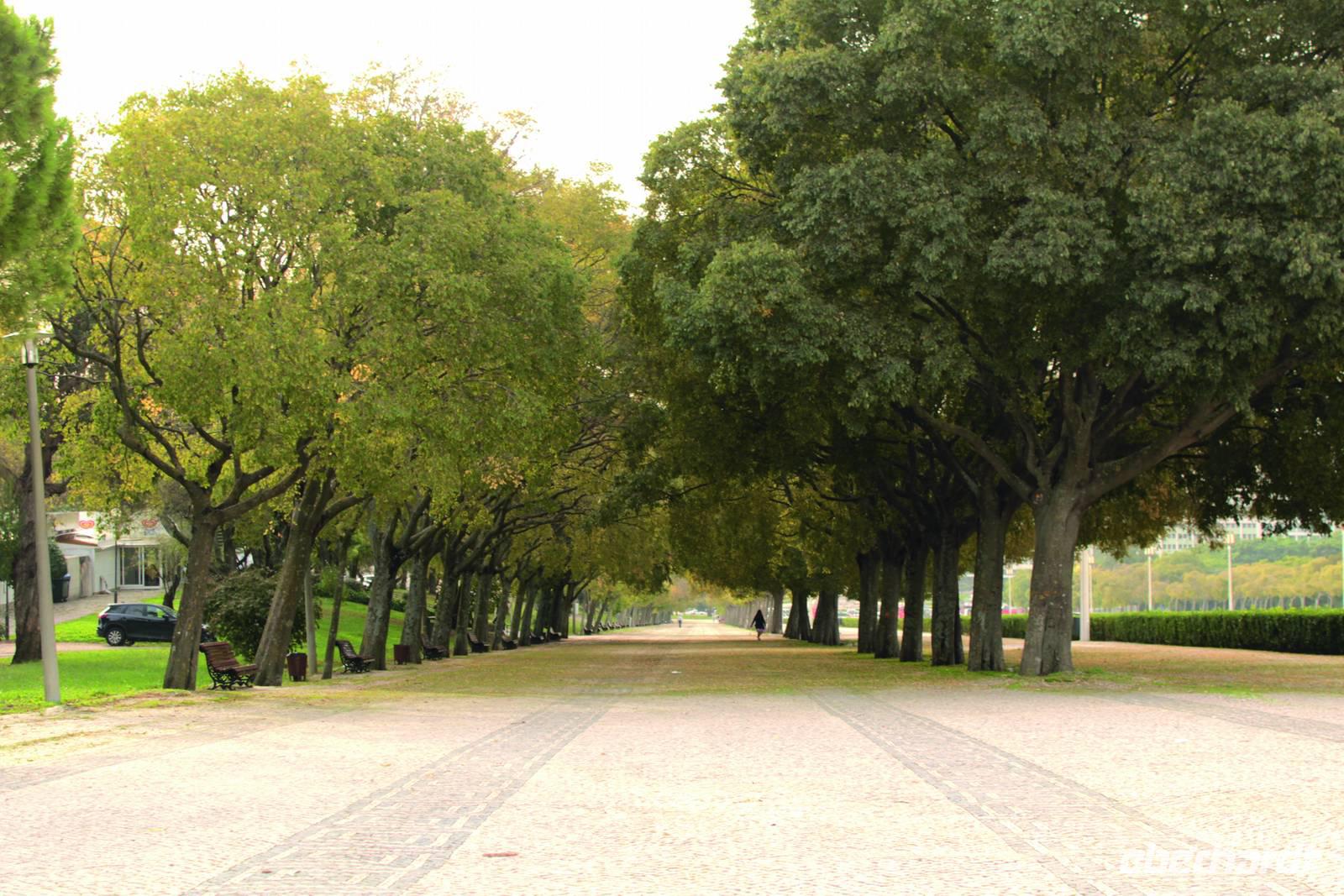 Lissabon Parque Eduardo