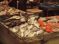 Besuch der Markthalle in Setubal