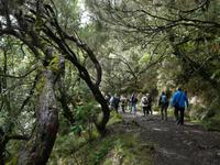 Wanderung im Tal von Rabacal