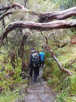 Wanderung im Tal von Rabacal
