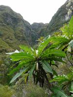 Wanderung im Tal von Rabacal
