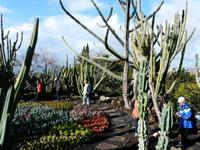 Stadtbesichtigung Funchal