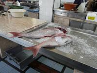 Stadtbesichtigung Funchal