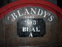 Stadtbesichtigung Funchal