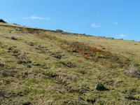 Wanderung zum Ostkap