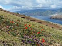 Wanderung zum Ostkap