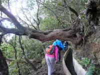 Wanderung nach Portela
