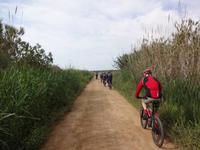 Einer von vielen Feldwegen