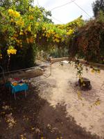 Picknick im Schatten