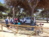 Picknick toll hergerichtet von Joana!